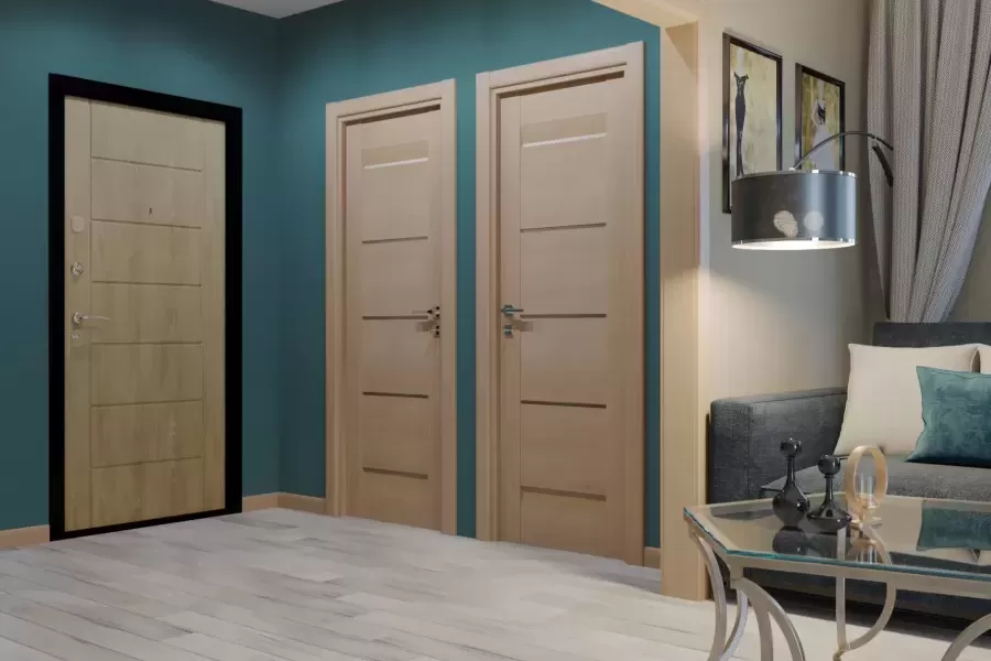 Interior doors in the apartment