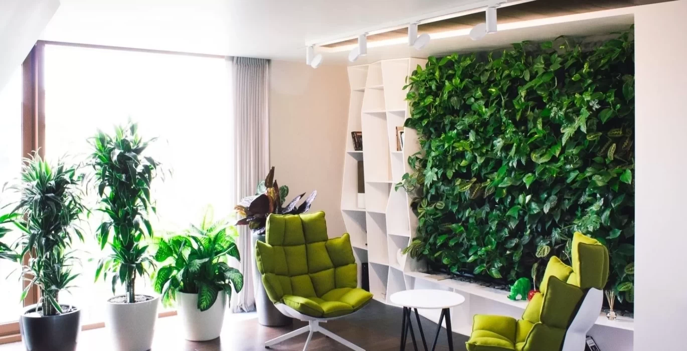 Greenery in the interior
