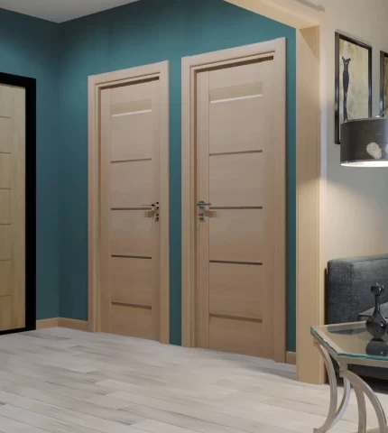 Interior doors in the apartment Interior doors in the apartment