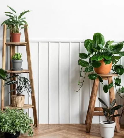 Рослини в будинку